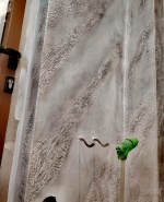 Messenger_creation_F9CD52A3-5FC7-42E2-A3B2-AF561840F073