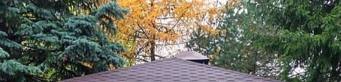 FB_IMG_1697397596148