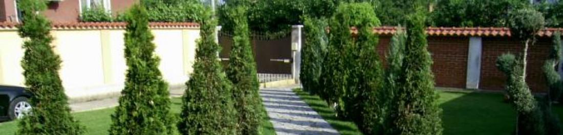 Снимка  от Атанас Китов