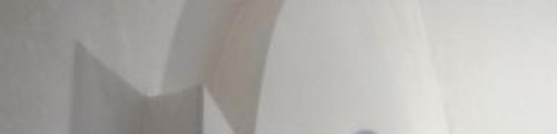 Снимка  от Дамян Леков