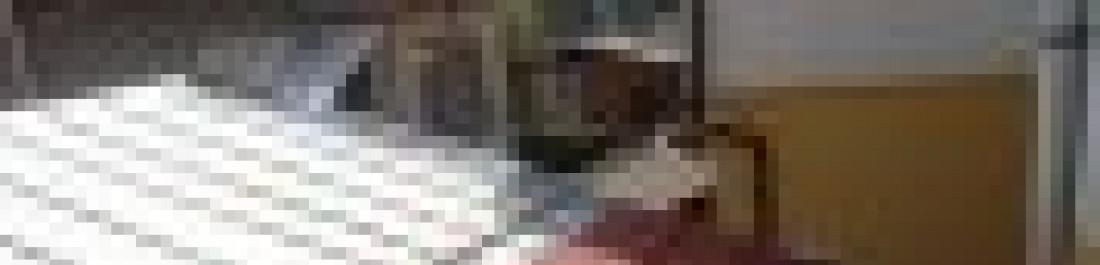 Снимка  от Димитър Ангелов