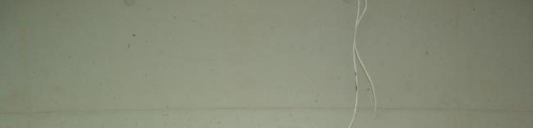 Снимка  от Кико Колев