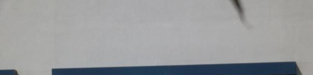 Снимка  от Николай Ангелов