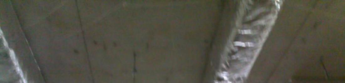 Снимка  от Димо Жеков