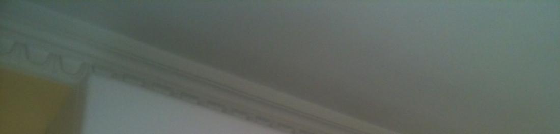 Снимка  от Gabriela Georgieva