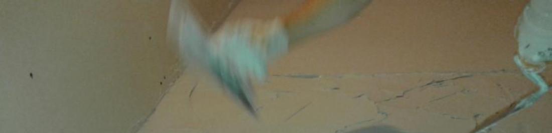 Снимка  от Любен Димитров