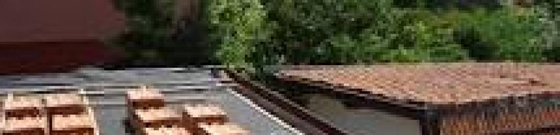 Снимка  от Янко Янков