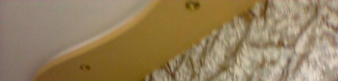 Снимка  от Методи Бачев