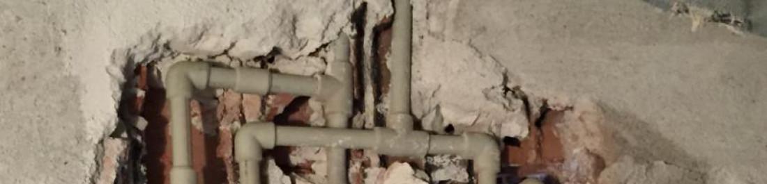 Снимка  от Цветомир Йотов