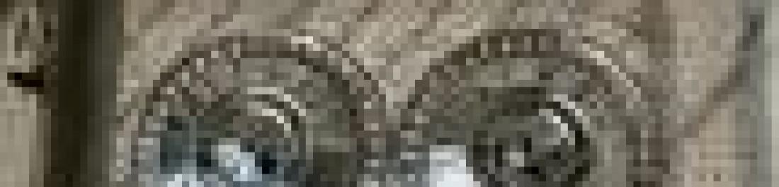 Снимка  от ТЕОПАСТ  ООД Администратор