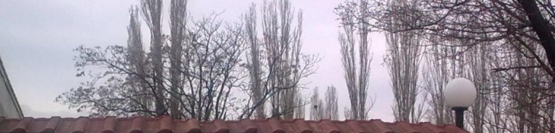 Снимка  от Симеон Лазаров