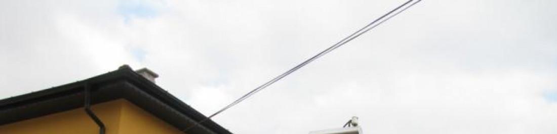 Снимка  от Георги Господинов