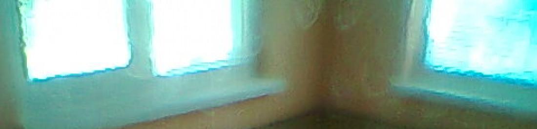 Снимка  от Славейка Бодурова