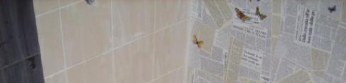 Снимка  от Павлин Ганчев