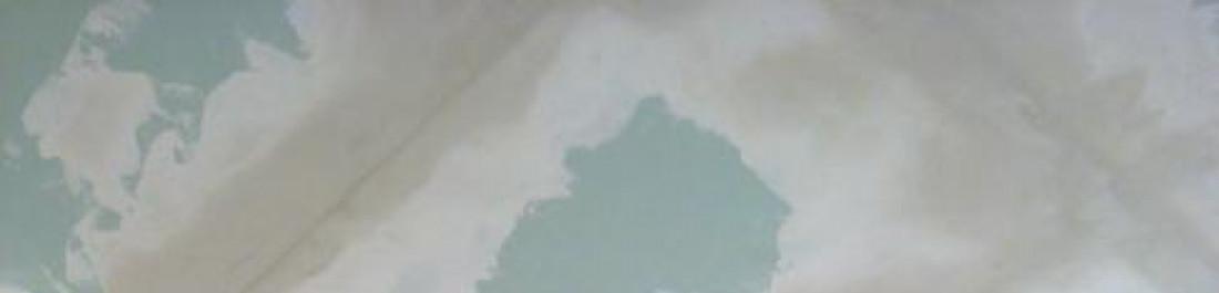 Снимка  от Данчо Данчо