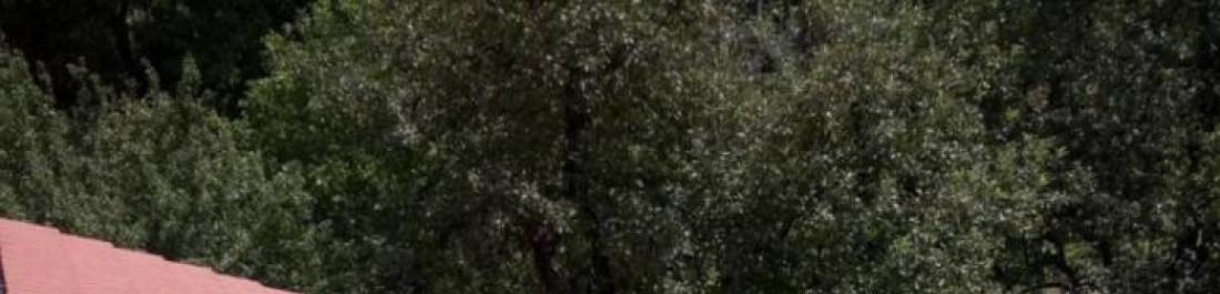 Ремонт на Покриви