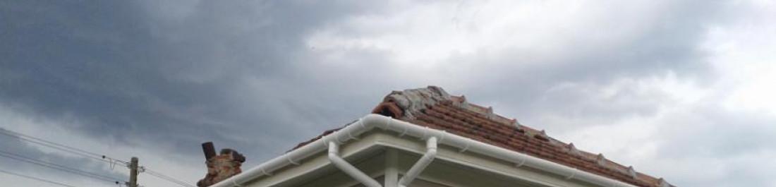 Снимка  от Йотко Танчев