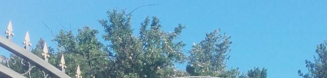 Метална врата