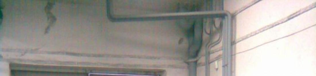 Снимка  от илиан цочев