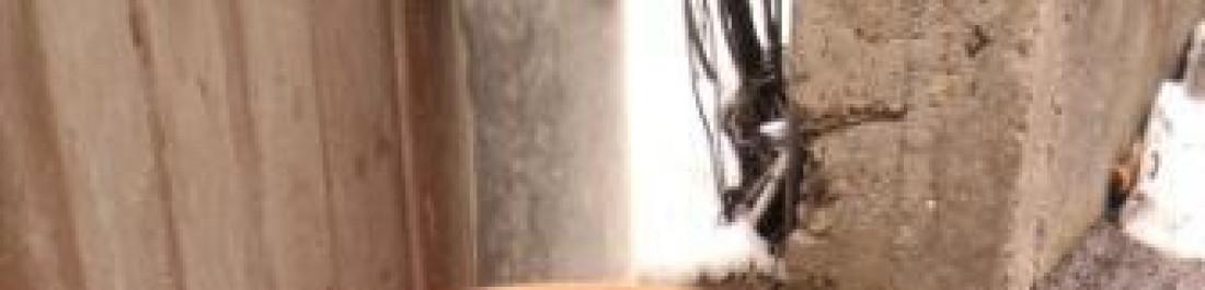 Снимка  от Павлин Христов