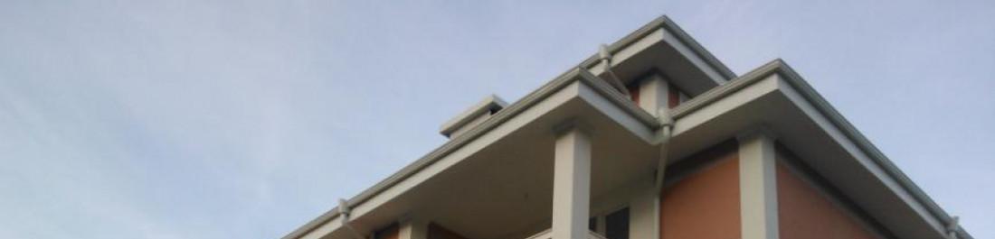 Снимка  от Ст. Илиев