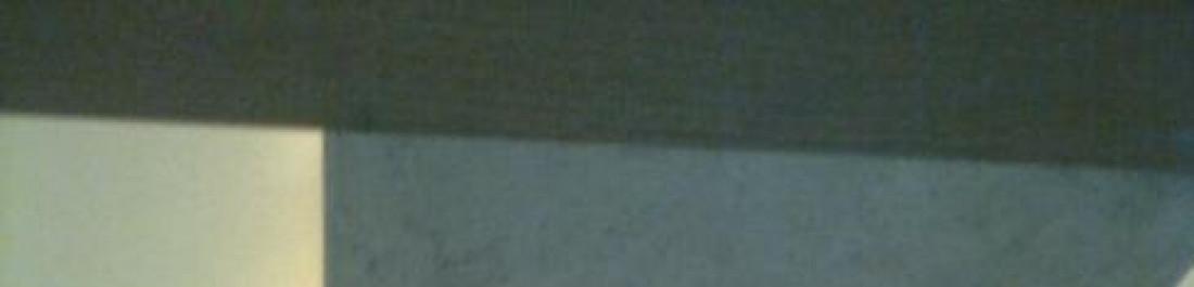 Снимка  от Пламен Маджаров