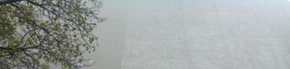 Снимка  от Димитър Лазаров