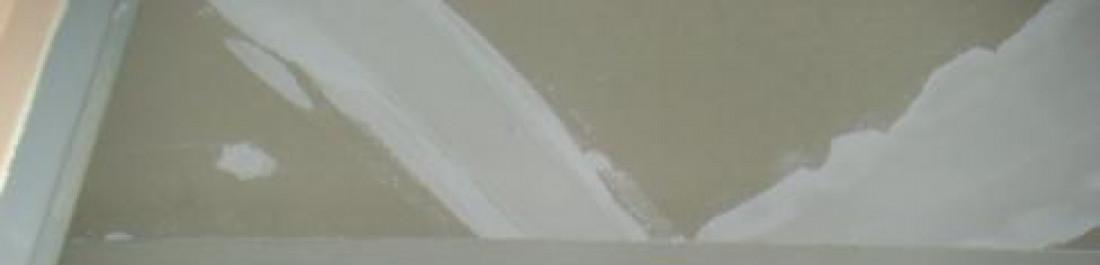 Снимка  от Петър Петров