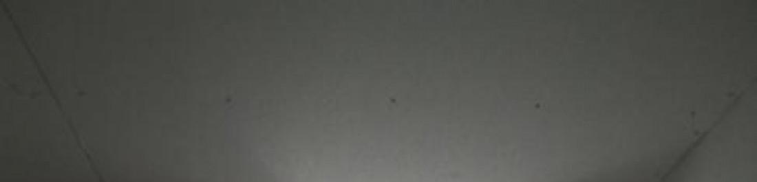 Снимка  от Стоил Рачев