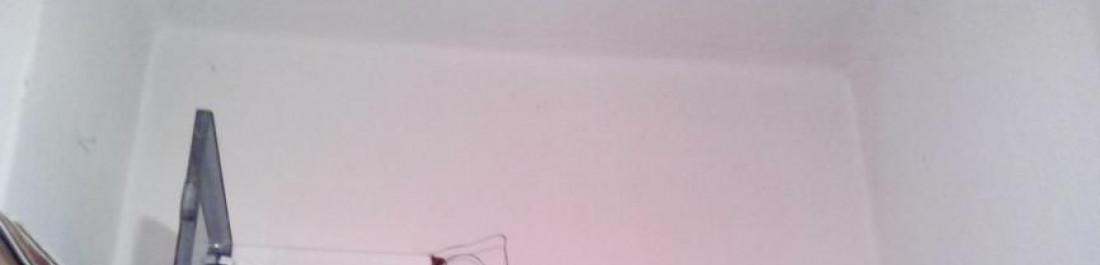 Снимка  от Боян Пършоров