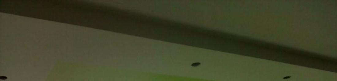 Снимка  от Йордан димитров