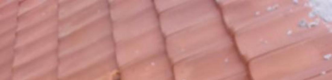 Снимка  от Христо Димитров