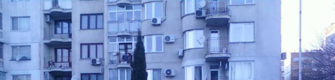 Снимка  от Орлин Стефанов