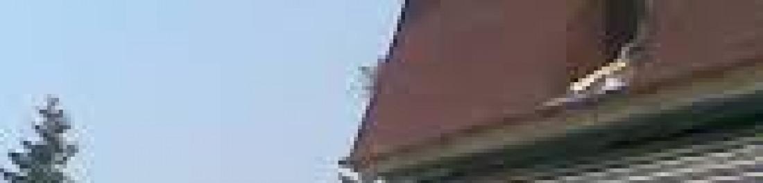 Снимка  от Атанас Стоянов