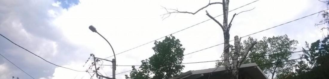 Снимка  от Иван Ценов