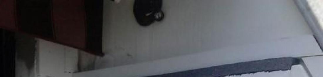 Снимка  от калоян яарловски