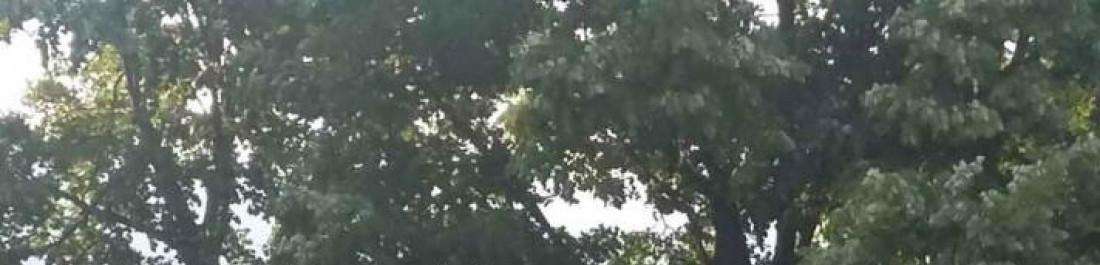 Атанасови Билдинг ЕООД