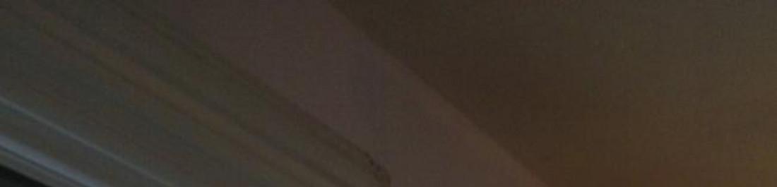 Снимка  от светослав кръстев