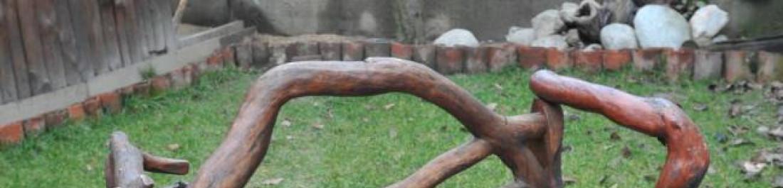 Снимка  от Васил Тасков