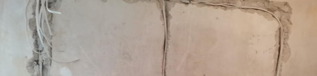 122813741_974983826244848_1358519925036851089_n