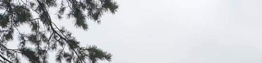 FB_IMG_1619625467180