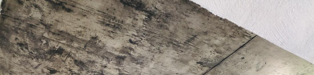 C483142A-8400-4C77-99FA-924DF99B7858