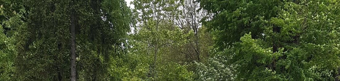 Реакция на доволен клиент.