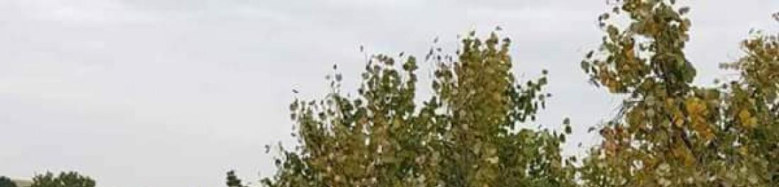 FB_IMG_1639822013699