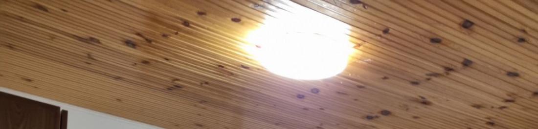 IMG-95cd64f10fba39158962776e3d5a29d2-V