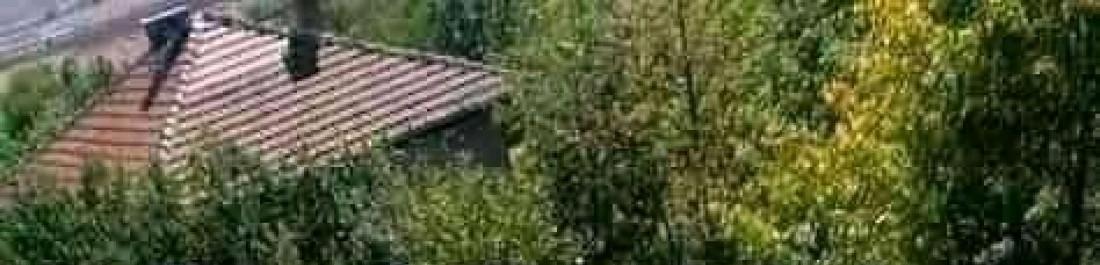 FB_IMG_16438803728513392