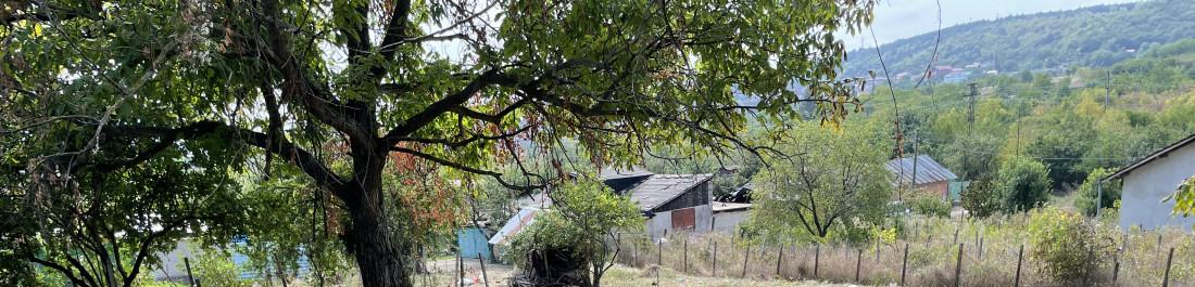 42D033CF-0207-40EC-A328-D2E39A155BF7