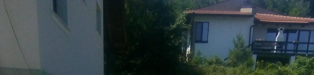 IMG-20220701-WA0006