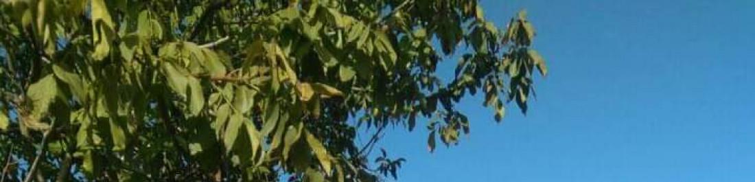 FB_IMG_1668154659439