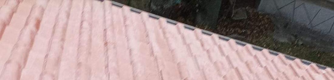 FB_IMG_1647804131050